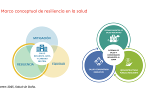 Adaptación y resiliencia